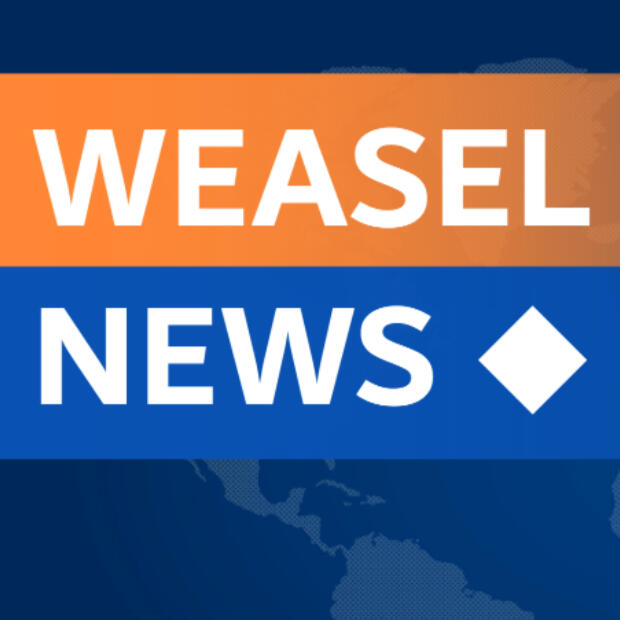 Weasel News | 2D Simulator